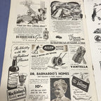 The Illustrated London News July 7th 1951