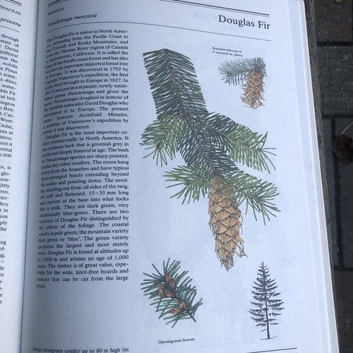 The Illustrated Book Of Trees & Shrubs