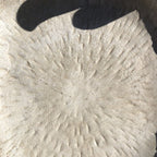Cast Iron Bird Bath Feeder