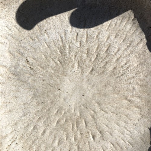 Cast Iron Bird Bath Feeder