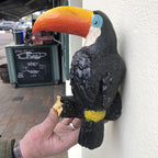Guinness Sold Here Wall Mounted Toucan