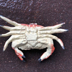 Crab Cast Iron Hinged Lid Trinket Box