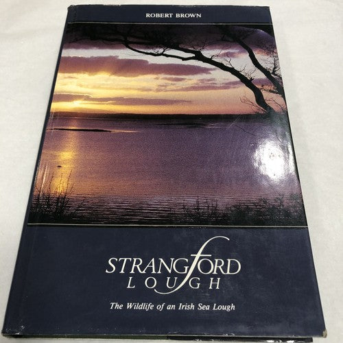 Strangford Lough By Robert Brown