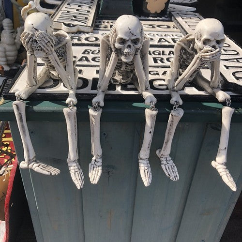 Wise Skeletons Shelf Sitters Set Of 3