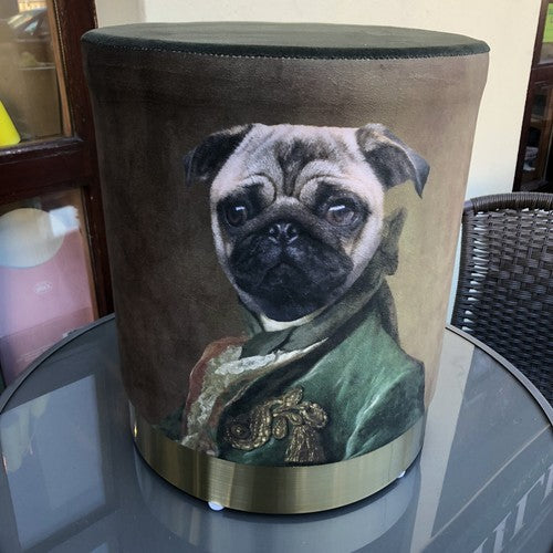 Dog Fabric Foot Rest And Stool