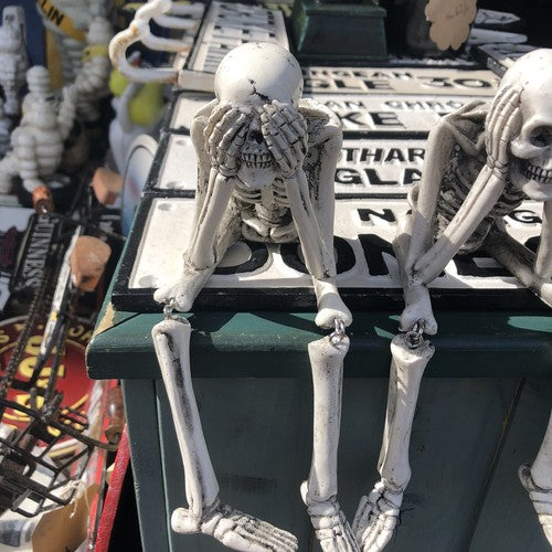 Wise Skeletons Shelf Sitters Set Of 3