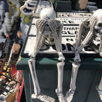 Wise Skeletons Shelf Sitters Set Of 3