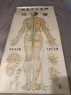Acupuncture Set Of Three Vintage Wall Charts