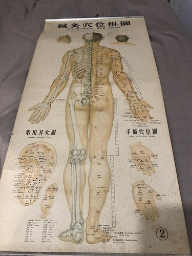 Acupuncture Set Of Three Vintage Wall Charts