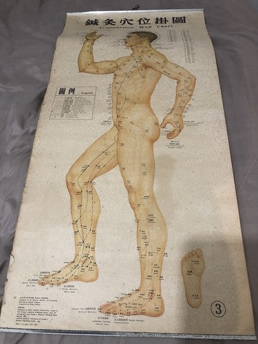 Acupuncture Set Of Three Vintage Wall Charts