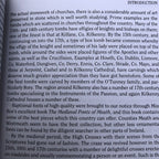 National And Historic Monuments Of Ireland By Peter Harrison