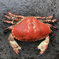Crab Cast Iron Hinged Lid Trinket Box Large