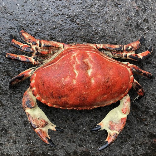 Crab Cast Iron Hinged Lid Trinket Box Large