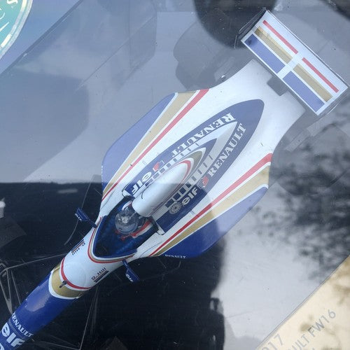 Williams Renault FW16 Damon Hill Model