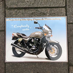 Kawasaki Metal Sign