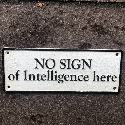 No Sign Of Intelligence Here Cast Iron Sign