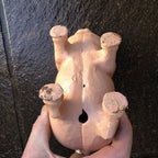 Original Vintage Cast Iron Pig Money Box