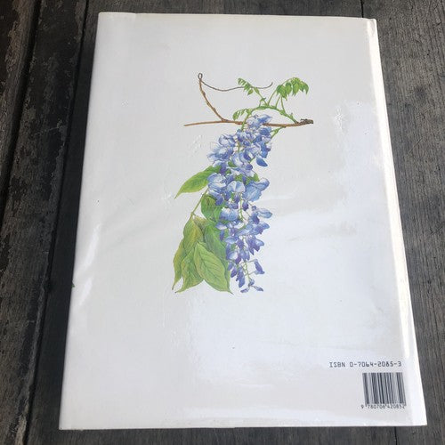 The Illustrated Book Of Trees & Shrubs
