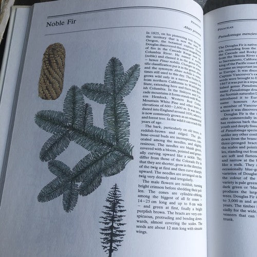 The Illustrated Book Of Trees & Shrubs
