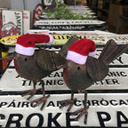 Mr & Mrs Santa Robin