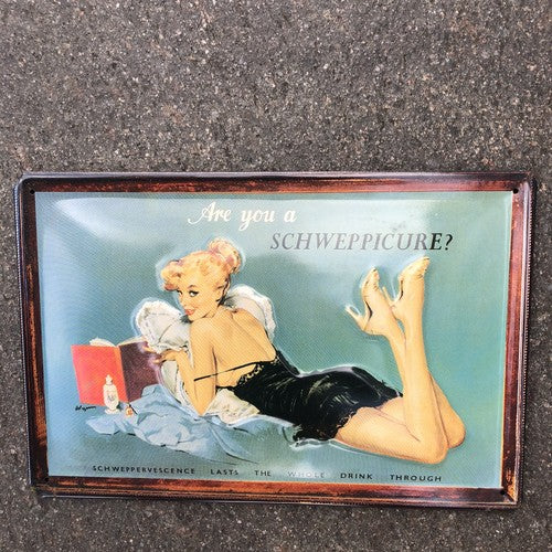 Schweppes Metal Sign Good Quality