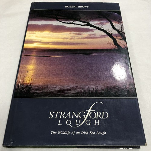 Strangford Lough By Robert Brown
