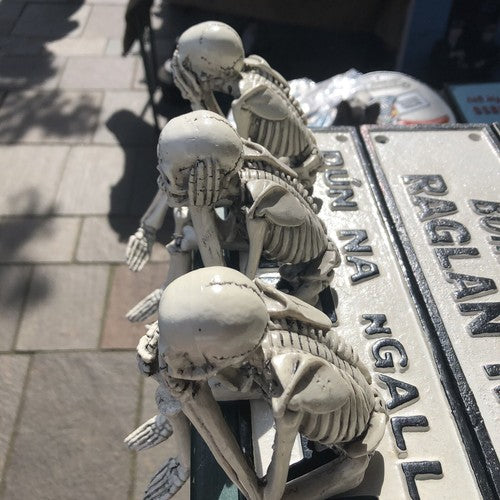 Wise Skeletons Shelf Sitters Set Of 3