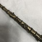 Asian Peacock Pipe