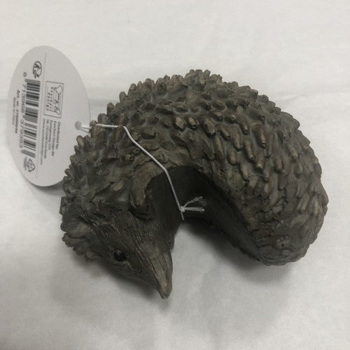 Hedgehog Plant Hanger