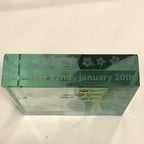 Capricorn Glass Block 3 Inches Square Boxed