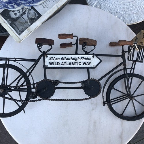 Wild Atlantic Way Tandem