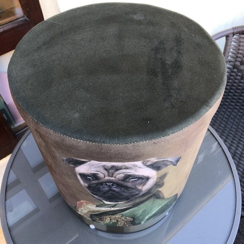 Dog Fabric Foot Rest And Stool