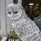 Owl Cast Iron Door Stop