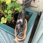 Horse Running Cast Iron On Wooden Base