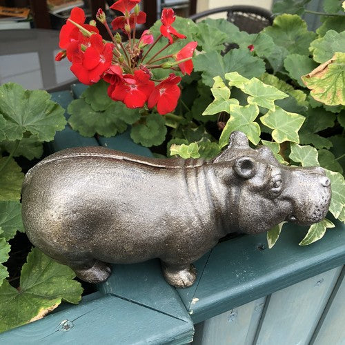 Hippo Cast Iron Money Box