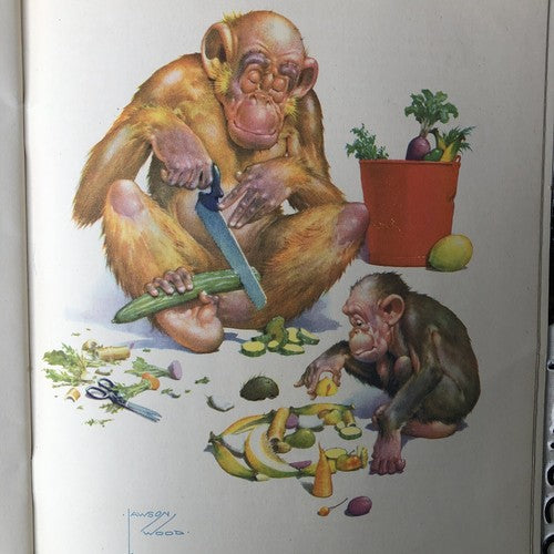 Granpops Book Of Fun By Lawson Wood