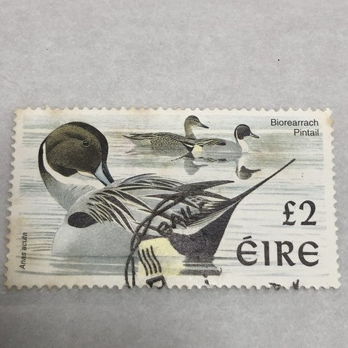 Bird Irish Punt Currency Definitive Postage Stamps