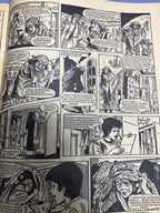 Jinty And Lindy Two 1977 Comics