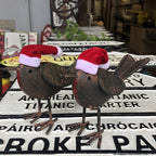 Mr & Mrs Santa Robin