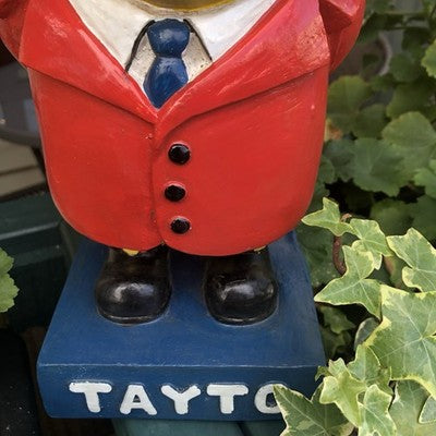 Mr Tayto Large