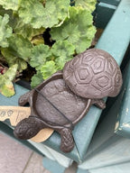 Tortoise Secret Cast Iron Key Holder