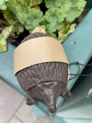 Hedgehog Secret Cast Iron Key Holder