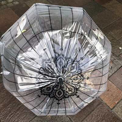 Ladies Parrot In Cage Umbrella Walking Length Clear Dome