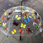 Ladies Butterflies Umbrella Walking Length Clear Dome