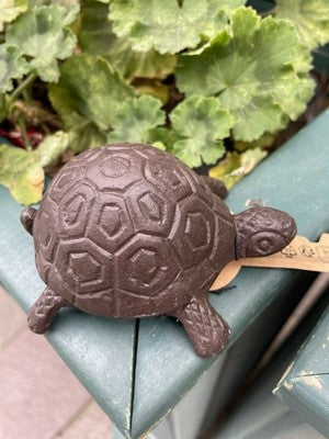 Tortoise Secret Cast Iron Key Holder