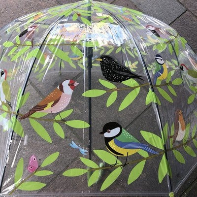 Ladies Garden Birds Umbrella Walking Length Clear Dome