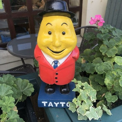 Mr Tayto Large