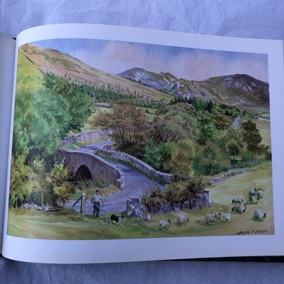 The Mournes By Colin Turner