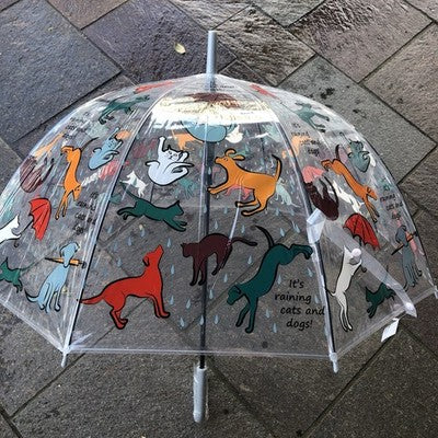 Ladies Raining Cats And Dogs Walking Length Clear Dome