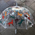 Ladies Raining Cats And Dogs Walking Length Clear Dome